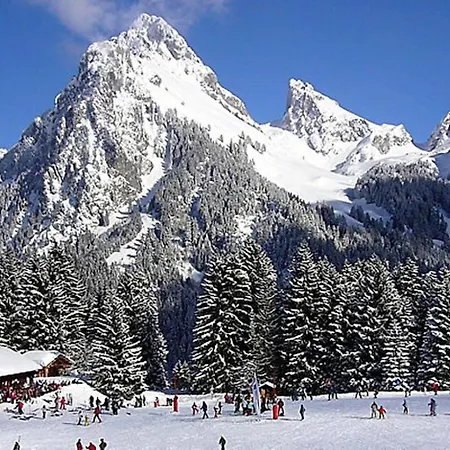 Rez De Jardin / Pieds Des Pistes Apartment *