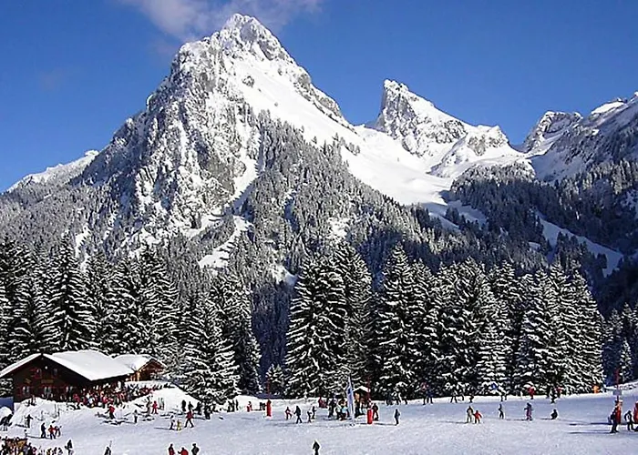 Rez De Jardin / Pieds Des Pistes Apartament *
